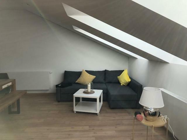 Cozy Rooftop Next To The English Garden, 60qm